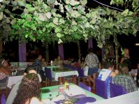Not�cia 2